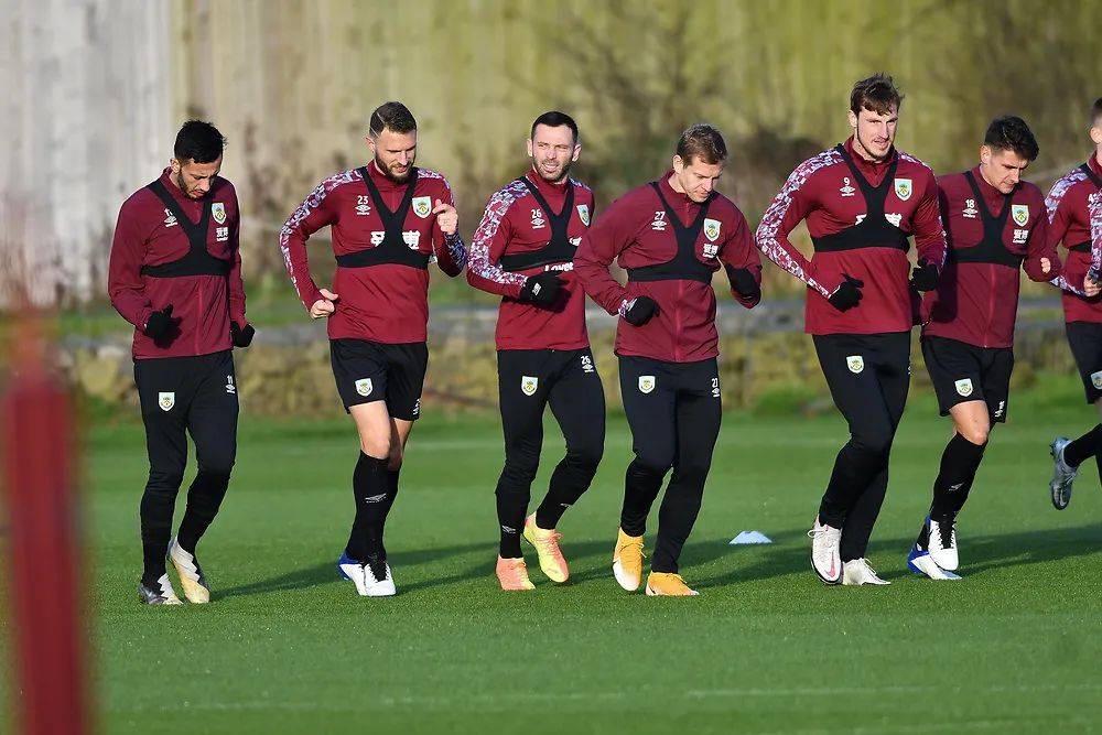 毒蛇可以通 毒蛇可以通