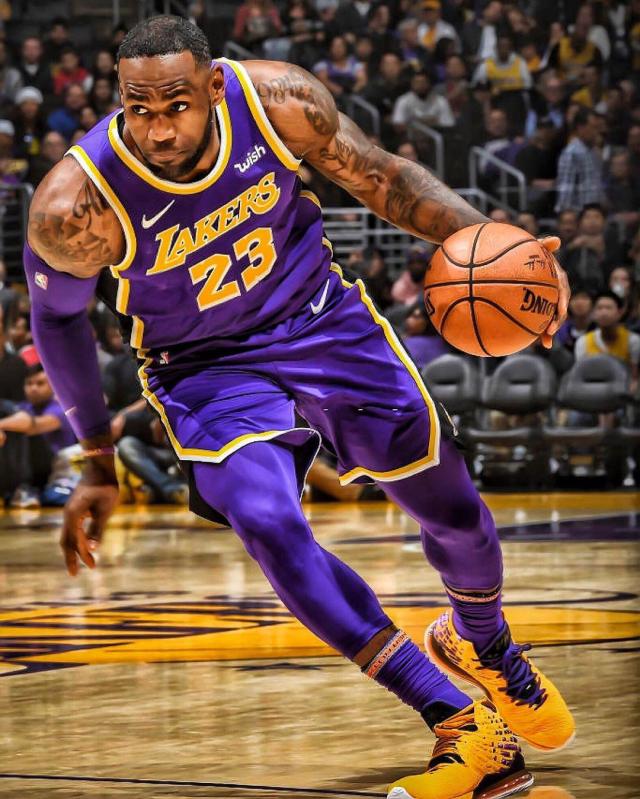 内侧缰带引 内侧缰带引